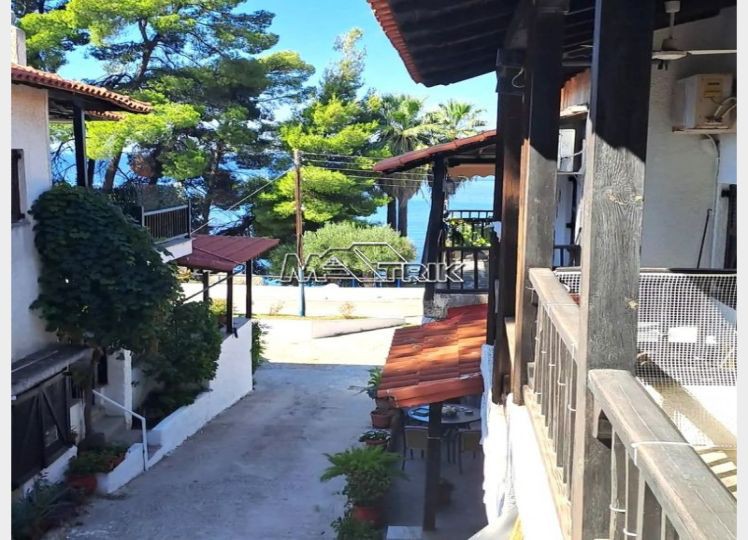 Διαμέρισμα 52 τ.μ. προς πώληση, Ελιά Σιθωνίας