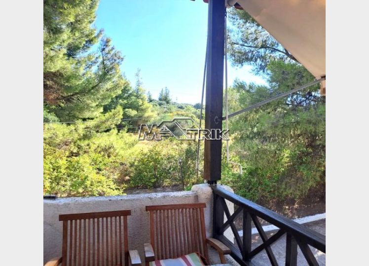 Διαμέρισμα 52 τ.μ. προς πώληση, Ελιά Σιθωνίας