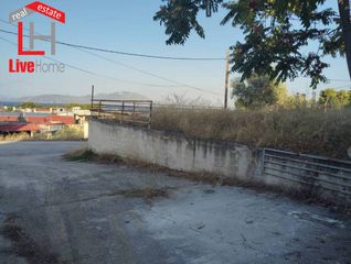 Βιοτεχνικός χώρος 250 τ.μ. για ενοικίαση, Κορινθία, Σικυώνα-thumb-5