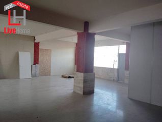 Βιοτεχνικός χώρος 250 τ.μ. για ενοικίαση, Κορινθία, Σικυώνα-thumb-17