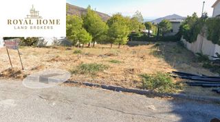 Οικόπεδο 3.000 τ.μ. για πώληση