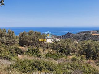 Οικόπεδο 1.850 τ.μ. για πώληση, Ν. Ρεθύμνου, Ρέθυμνο-thumb-2
