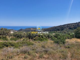 Οικόπεδο 1.850 τ.μ. για πώληση, Ν. Ρεθύμνου, Ρέθυμνο-thumb-3