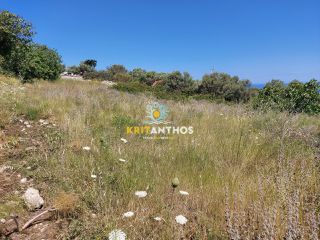 Οικόπεδο 1.850 τ.μ. για πώληση, Ν. Ρεθύμνου, Ρέθυμνο-thumb-6