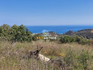 Οικόπεδο 1.850 τ.μ. για πώληση, Ν. Ρεθύμνου, Ρέθυμνο-thumb-10