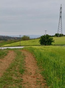 Αγροτεμάχια 4.150 τ.μ. προς πώληση