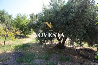 Βίλλα 240 τ.μ. πρός πώληση, Ν. Χανίων, Αρμενοί-thumb-30