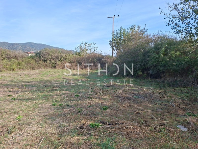 Αγροτεμάχια 2.164 τ.μ. πρός πώληση, Χαλκιδική, Τορώνη