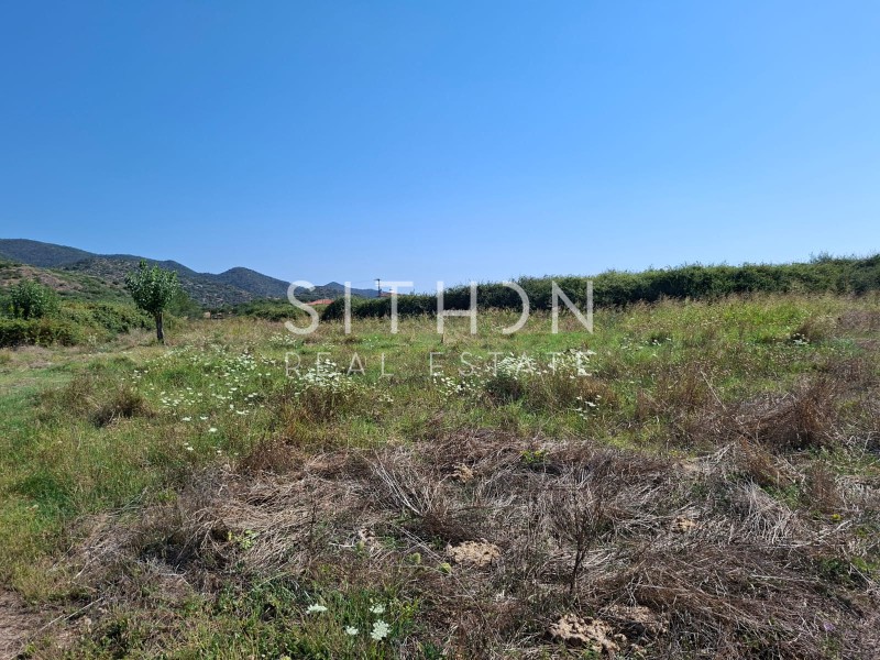 Αγροτεμάχια 3.013 τ.μ. πρός πώληση, Χαλκιδική, Τορώνη