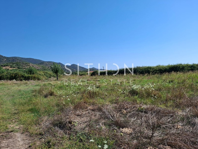 Αγροτεμάχια 3.013 τ.μ. πρός πώληση, Χαλκιδική, Τορώνη