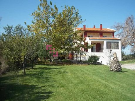 Μονοκατοικία 350 τ.μ. πρός πώληση