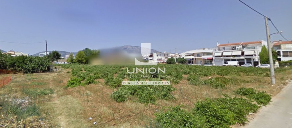 Οικόπεδο 2.343,61 τ.μ. πρός πώληση, Αθήνα - Ανατολικά Προάστια, Κορωπί