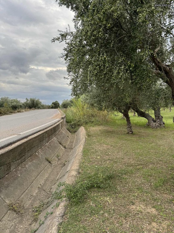 Αγροτεμάχια 4.601 τ.μ. πρός πώληση, Μεσσηνία, Άριο