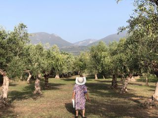 Αγροτεμάχια 4.601 τ.μ. για πώληση, Μεσσηνία, Άριο-thumb-7