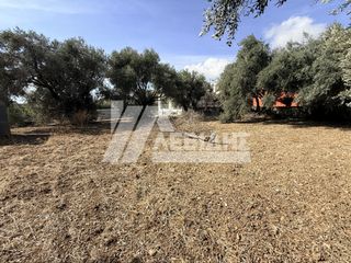 Οικόπεδο 424 τ.μ. για πώληση, Ν. Χίου, Χίος-thumb-2