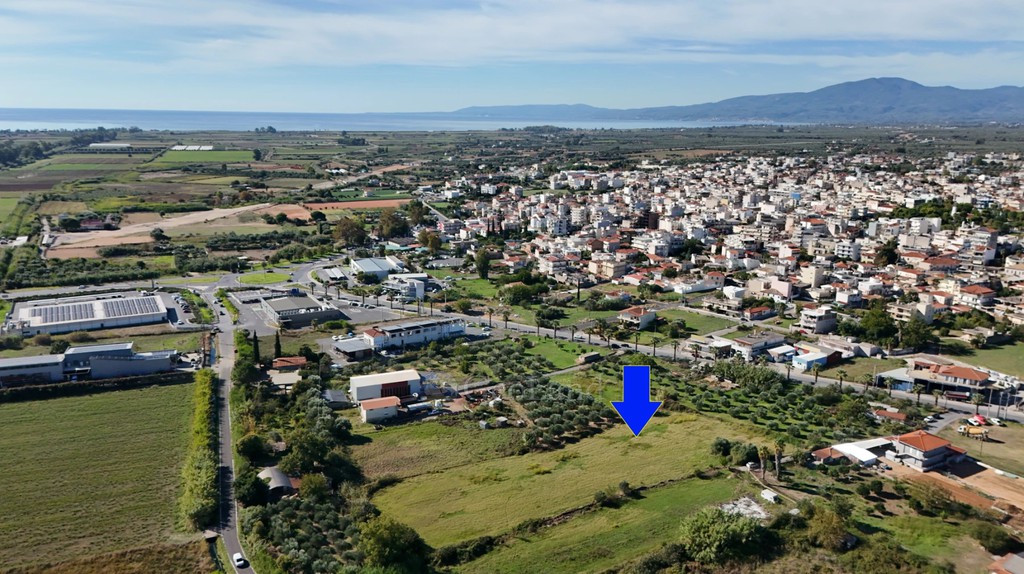 Αγροτεμάχια 6.616 τ.μ. προς πώληση, Μεσσηνία, Μεσσήνη