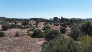 Αγροτεμάχια 4.010 τ.μ. πρός πώληση, Αργολίδα, Κρανίδι-thumb-14