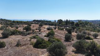 Αγροτεμάχια 4.010 τ.μ. πρός πώληση, Αργολίδα, Κρανίδι-thumb-4