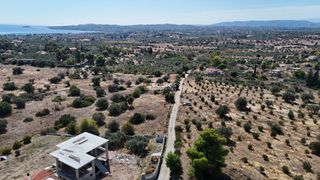 Αγροτεμάχια 4.010 τ.μ. πρός πώληση, Αργολίδα, Κρανίδι-thumb-13