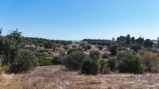 Αγροτεμάχια 4.010 τ.μ. πρός πώληση, Αργολίδα, Κρανίδι-thumb-6