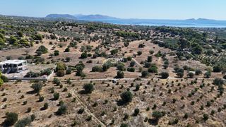 Αγροτεμάχια 4.010 τ.μ. πρός πώληση, Αργολίδα, Κρανίδι-thumb-12