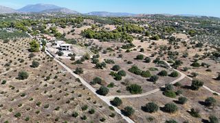 Αγροτεμάχια 4.010 τ.μ. πρός πώληση, Αργολίδα, Κρανίδι-thumb-24