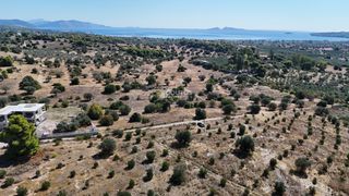 Αγροτεμάχια 4.010 τ.μ. πρός πώληση, Αργολίδα, Κρανίδι-thumb-11