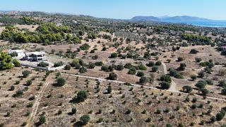 Αγροτεμάχια 4.010 τ.μ. πρός πώληση, Αργολίδα, Κρανίδι-thumb-16