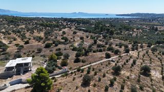 Αγροτεμάχια 4.010 τ.μ. πρός πώληση, Αργολίδα, Κρανίδι-thumb-7