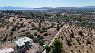 Αγροτεμάχια 4.010 τ.μ. πρός πώληση, Αργολίδα, Κρανίδι-thumb-9