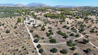Αγροτεμάχια 4.010 τ.μ. πρός πώληση, Αργολίδα, Κρανίδι-thumb-22