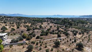 Αγροτεμάχια 4.010 τ.μ. πρός πώληση