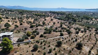 Αγροτεμάχια 4.010 τ.μ. πρός πώληση, Αργολίδα, Κρανίδι-thumb-3