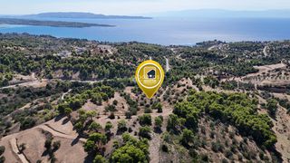Αγροτεμάχια 33.000 τ.μ. πρός πώληση