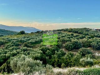 Land plot 4.466 sqm for sale
