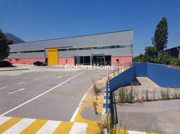 Αποθήκη 1.850 τ.μ. για ενοικίαση, Εύβοια, Ανθηδώνος