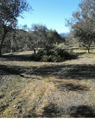 Αγροτεμάχια 18.205 τ.μ. για πώληση, Μεσσηνία, Ανδρούσα-thumb-1