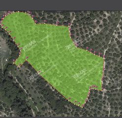 Αγροτεμάχια 18.205 τ.μ. για πώληση