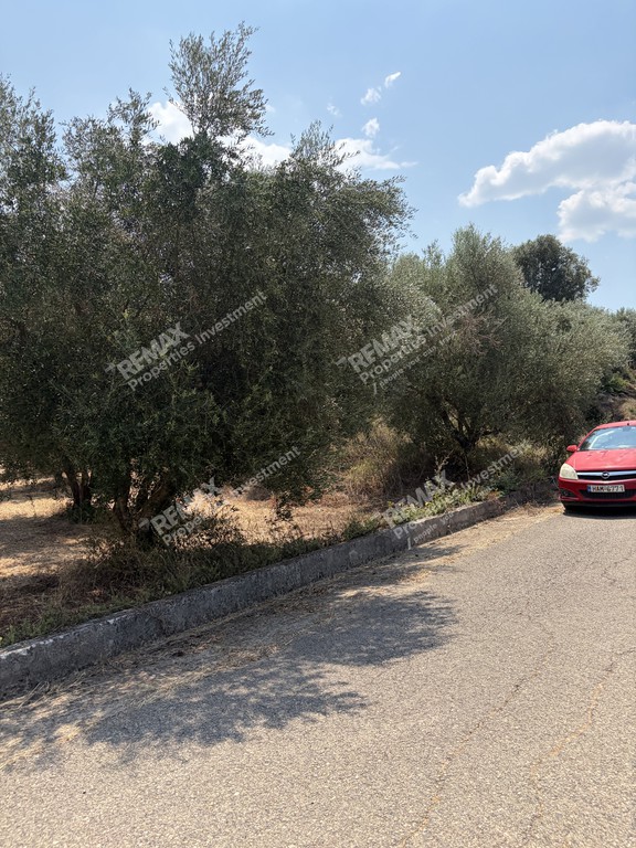 Αγροτεμάχια 5.836 τ.μ. πρός πώληση, Μεσσηνία, Ανδρούσα