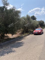 Αγροτεμάχια 5.836 τ.μ. πρός πώληση, Μεσσηνία, Ανδρούσα-thumb-5