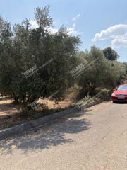 Αγροτεμάχια 5.836 τ.μ. πρός πώληση, Μεσσηνία, Ανδρούσα-thumb-10