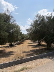 Αγροτεμάχια 5.836 τ.μ. πρός πώληση, Μεσσηνία, Ανδρούσα-thumb-1