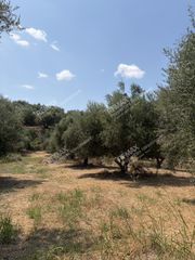Αγροτεμάχια 21.545 τ.μ. για πώληση, Μεσσηνία, Ανδρούσα-thumb-8