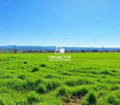Γη 4.440 τ.μ. πρός ενοικίαση