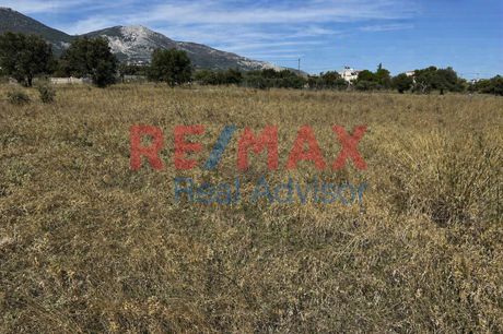 Land plot 800 sqm for sale