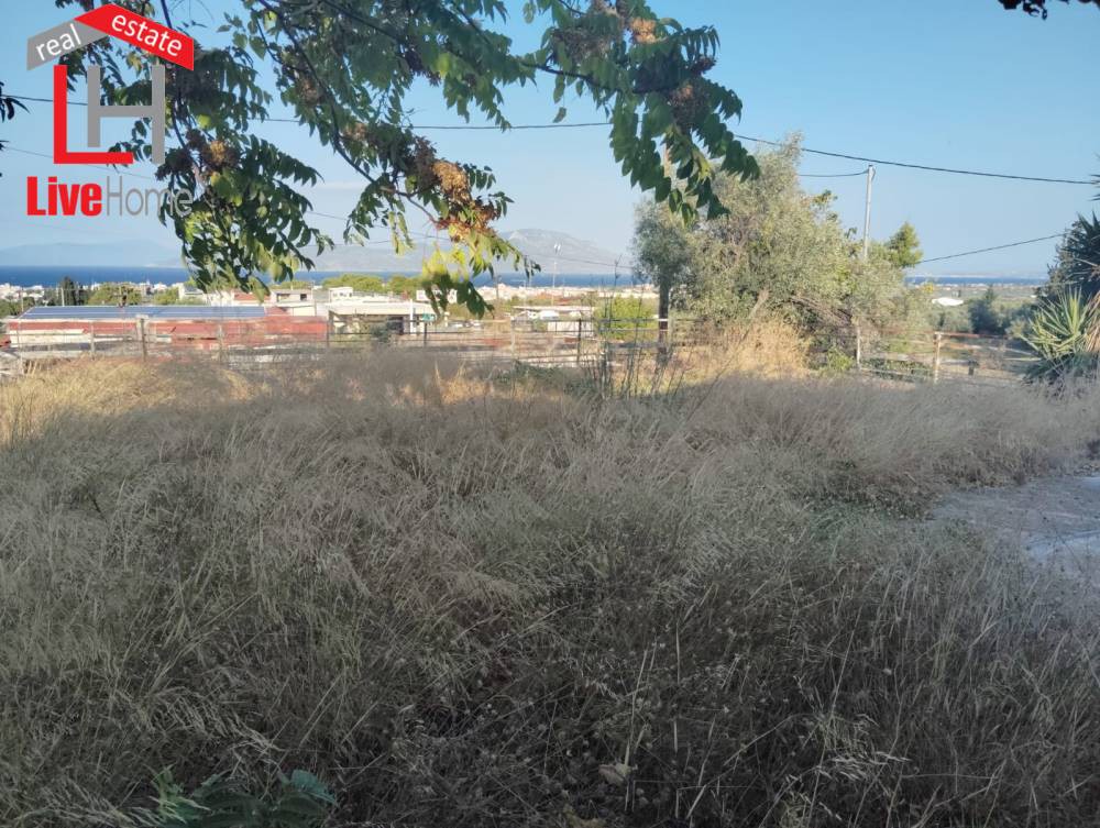 Βιοτεχνικός χώρος 250 τ.μ. πρός πώληση, Κορινθία, Σικυώνα