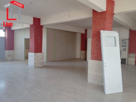 Βιοτεχνικός χώρος 250 τ.μ. πρός πώληση