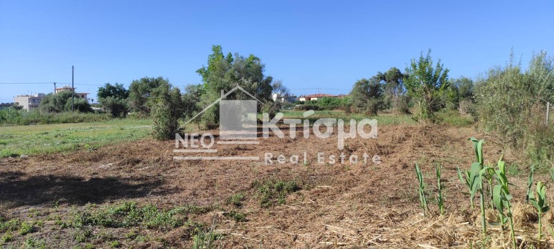 Οικόπεδο 4.060 τ.μ. πρός πώληση, Ν. Ηλείας, Πύργος