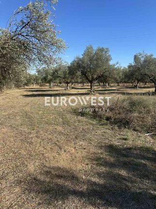 Οικόπεδο 8.404 τ.μ. για πώληση, Λακωνία, Μυστράς