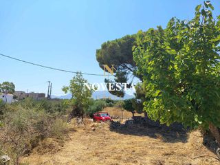 Μονοκατοικία 60,96 τ.μ. πρός πώληση, Ν. Χανίων, Βάμος-thumb-16